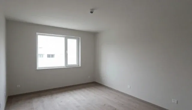 信息管理在软件研发中的多场景应用分析